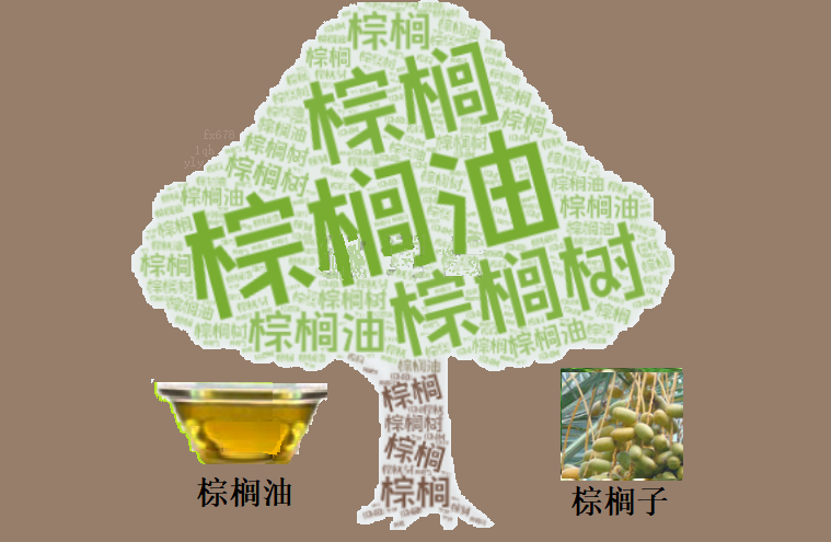 棕榈油出口改善 价格能否守住今日涨幅？